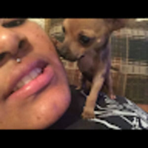 Meet your Posher, Glenda